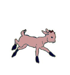 CHITA